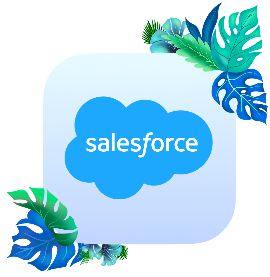 Kanopy Security brings clarity and control to Salesforce security.